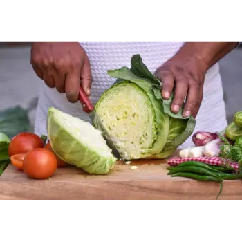 cabbage (23)-7787528-29851.webp